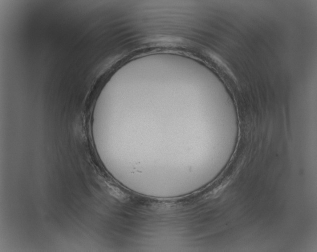 X0000073460970200608181301