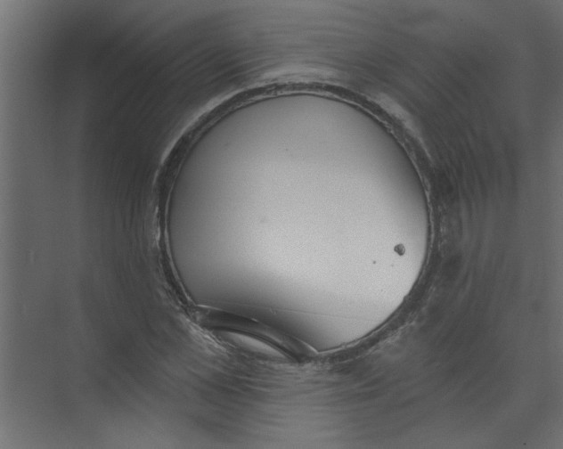 X0000073460973200608181301