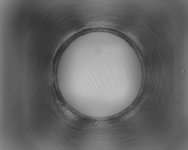 X0000073460974200608181301