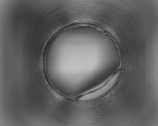 X0000073460976200608181301