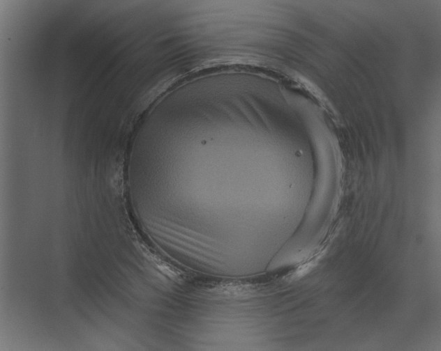 X0000073460977200608181301