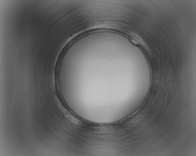 X0000073460980200608181301