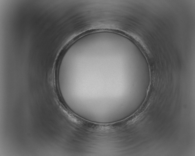 X0000073460982200608181301