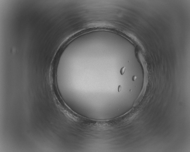 X0000073460983200608181301