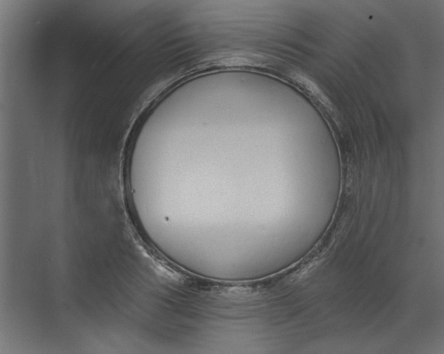 X0000073460986200608181300