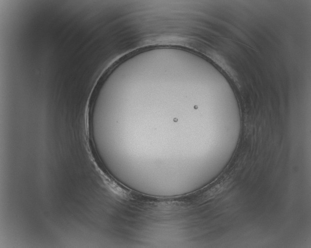 X0000073460988200608181300