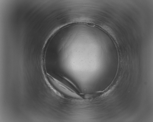 X0000073460989200608181300