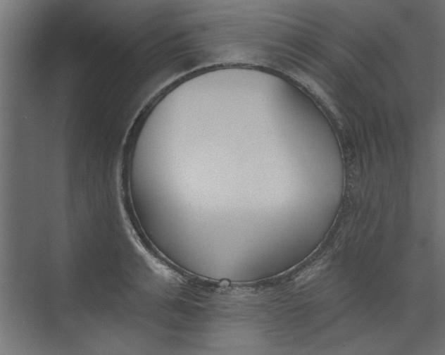 X0000073460991200608181300