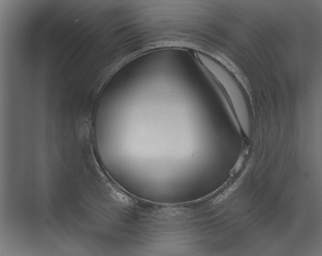 X0000073460993200608181300