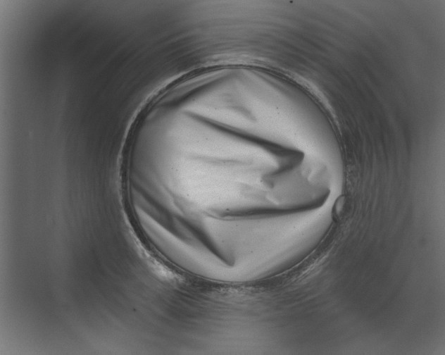 X0000073460995200608181300