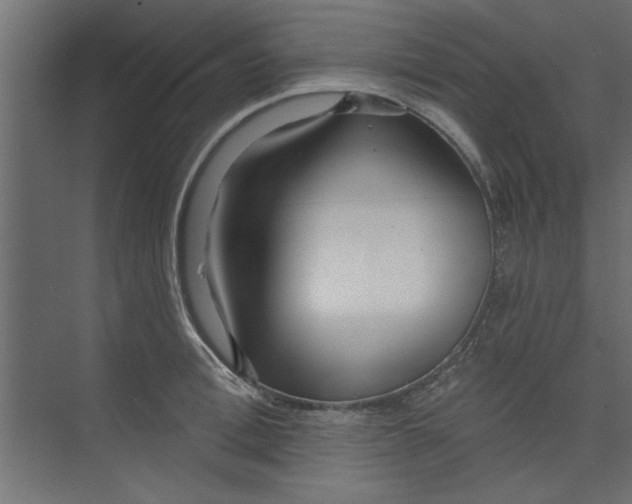 X0000073460996200608181300