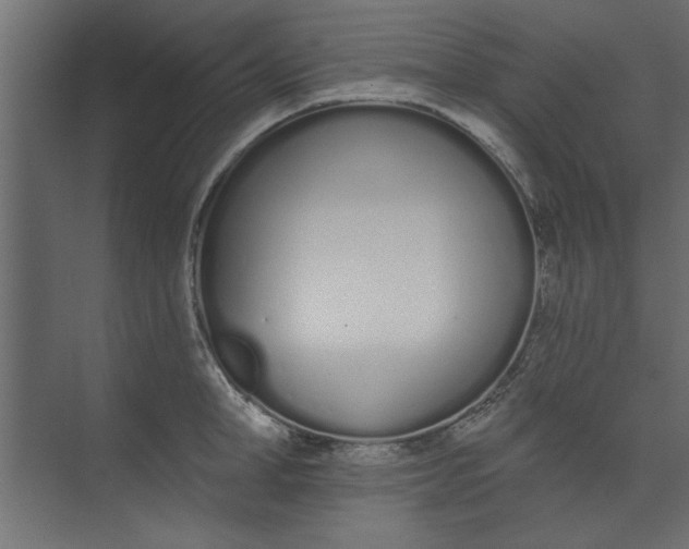 X0000073460998200608181300