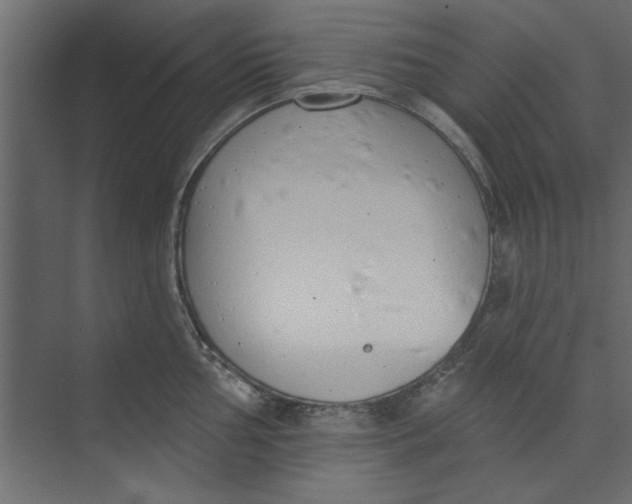 X0000073461002200608181300