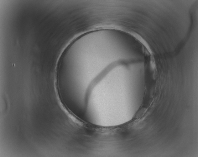 X0000073461005200608181300