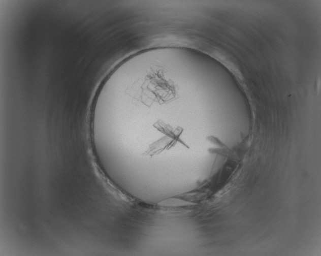 X0000073461008200608181300