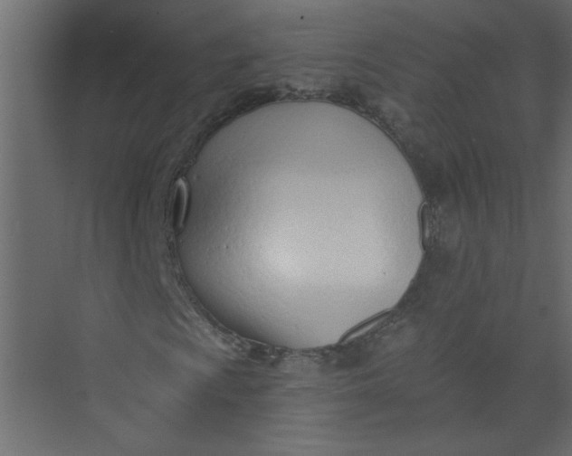 X0000073461009200608181259