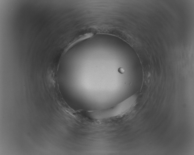 X0000073461010200608181259