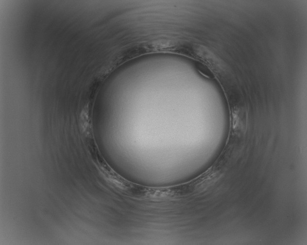 X0000073461011200608181259