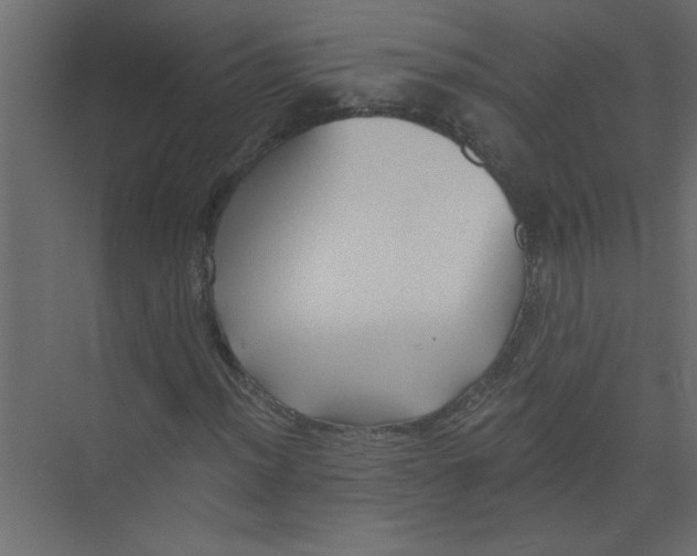 X0000073461012200608181259