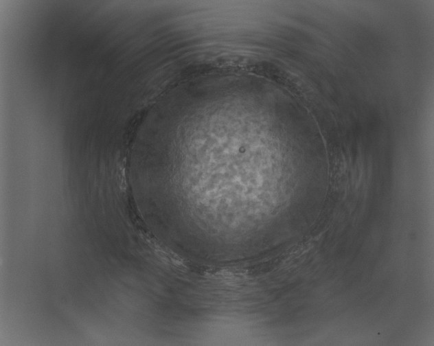 X0000073461013200608181259