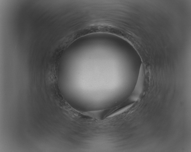 X0000073461014200608181259