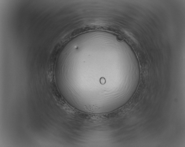 X0000073461015200608181259