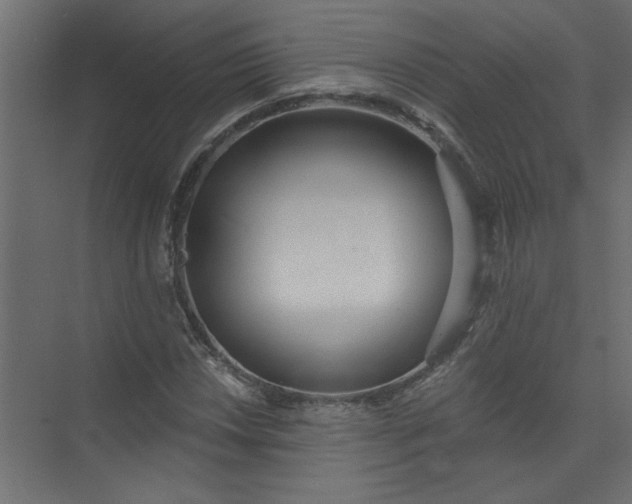 X0000073461018200608181259