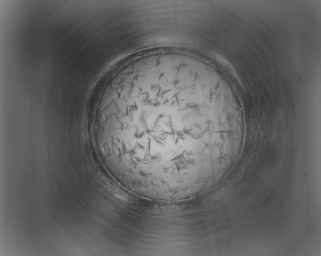 X0000073461019200608181259