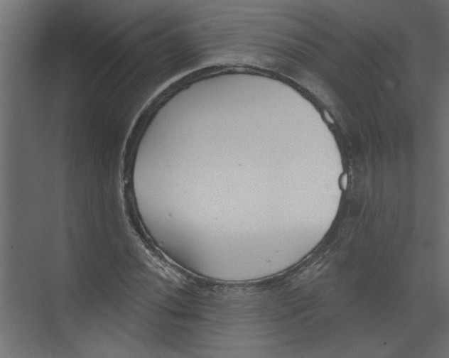 X0000073461020200608181259