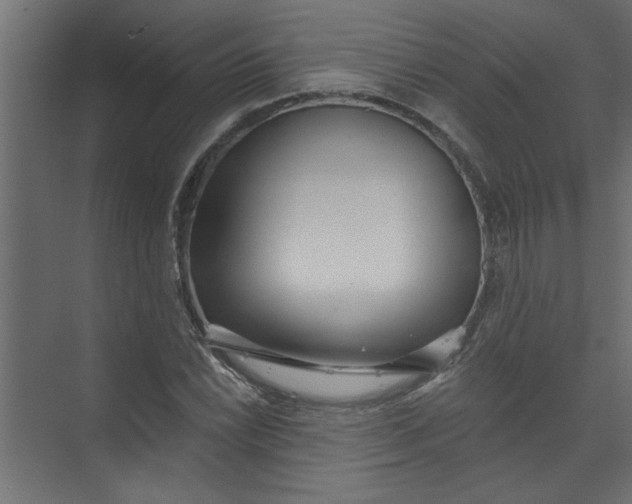 X0000073461022200608181300