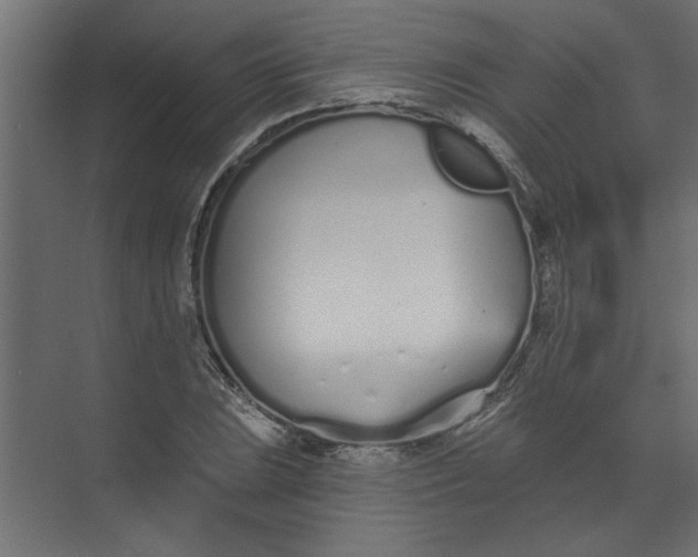 X0000073461023200608181300