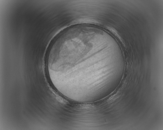 X0000073461024200608181300