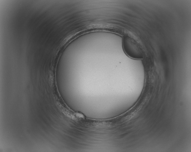 X0000073461025200608181300