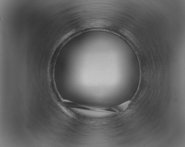 X0000073461026200608181300