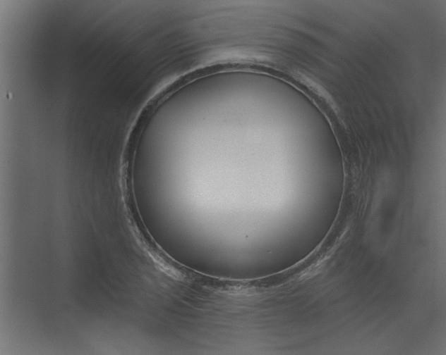 X0000073461029200608181300