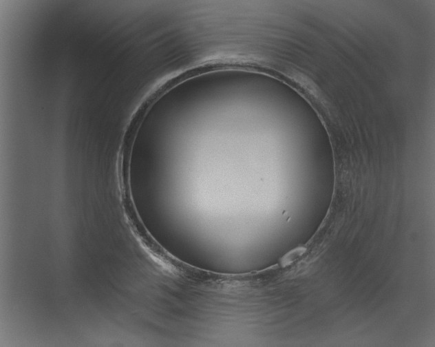 X0000073461030200608181300