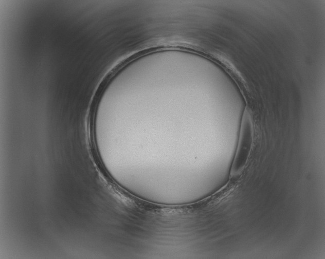 X0000073461032200608181300