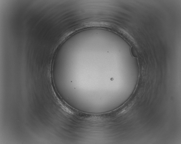 X0000073461033200608181300