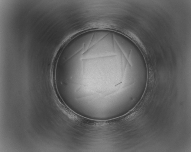 X0000073461035200608181300