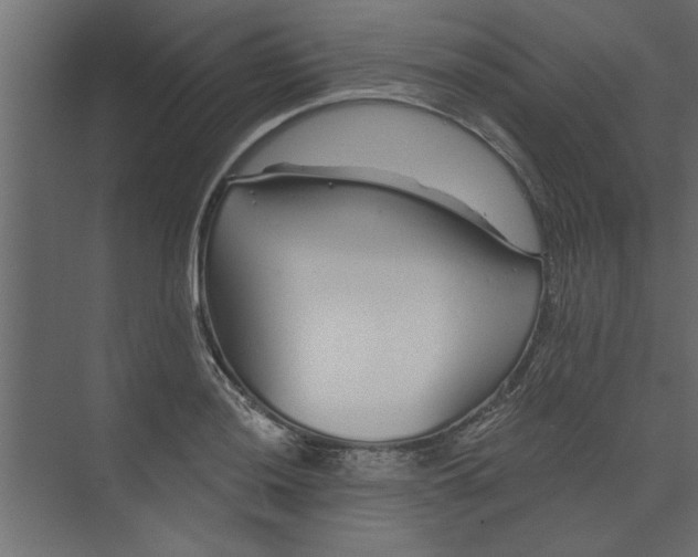 X0000073461036200608181300