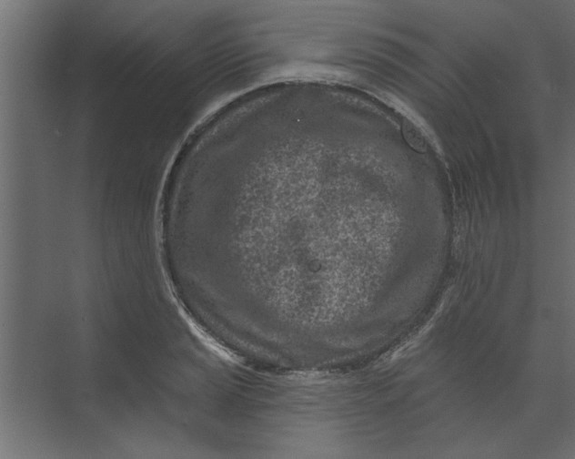 X0000073461037200608181300