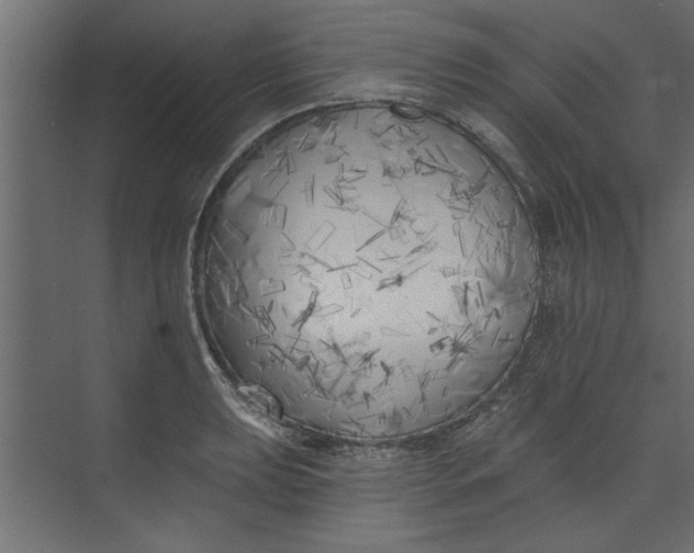 X0000073461039200608181300