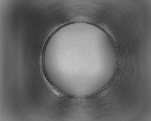 X0000073461040200608181300