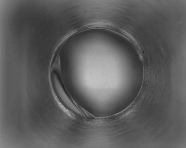 X0000073461042200608181300