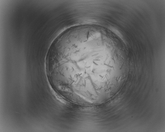 X0000073461047200608181300