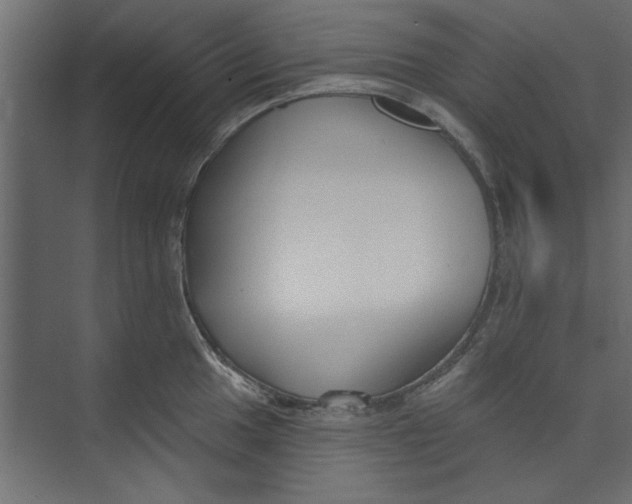 X0000073461049200608181300