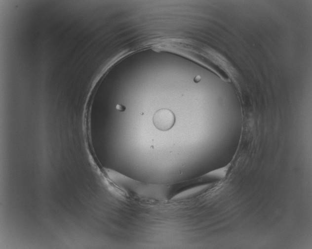 X0000073461050200608181300