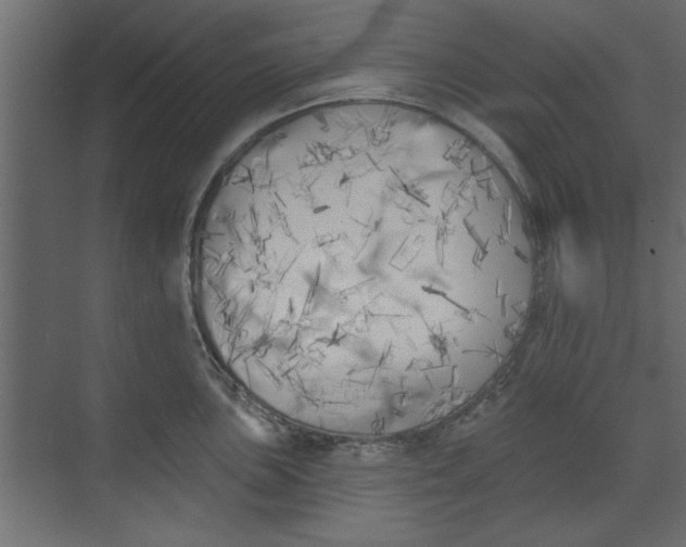 X0000073461051200608181300