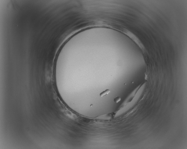 X0000073461052200608181300