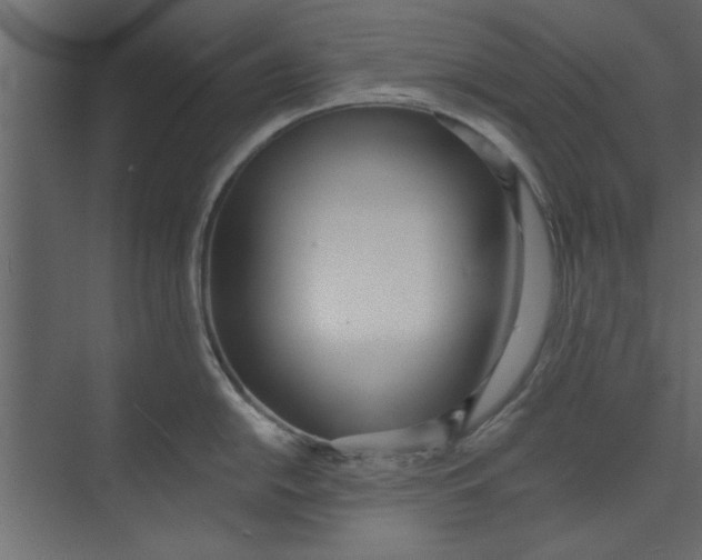 X0000073461054200608181300